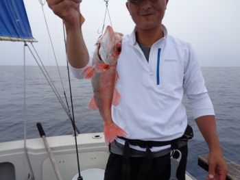 鯛紅丸 釣果