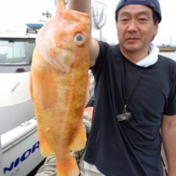 鯛紅丸 釣果