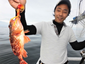 鯛紅丸 釣果