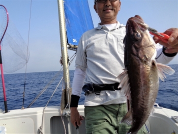 鯛紅丸 釣果