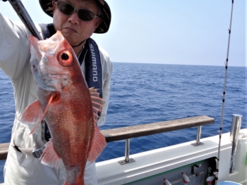 鯛紅丸 釣果