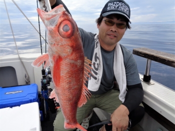 鯛紅丸 釣果