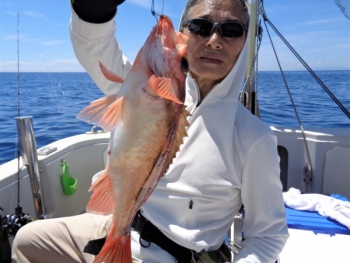 鯛紅丸 釣果