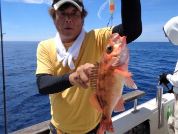 鯛紅丸 釣果