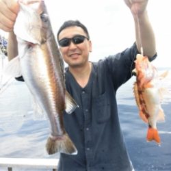 鯛紅丸 釣果