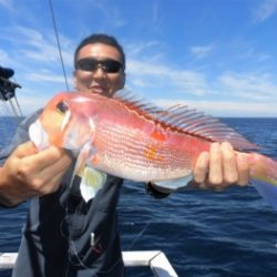 鯛紅丸 釣果