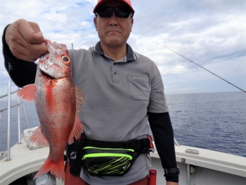 鯛紅丸 釣果