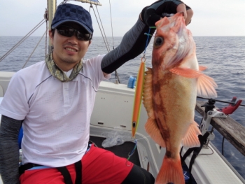 鯛紅丸 釣果