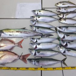 Hit Rush(ヒット ラッシュ) 釣果