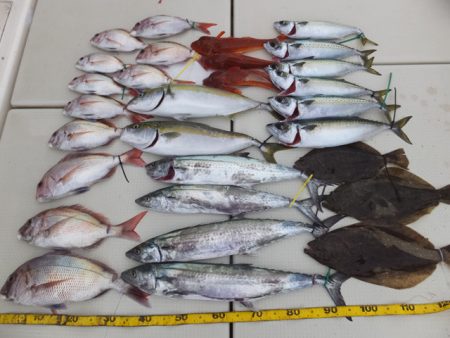 Hit Rush(ヒット ラッシュ） 釣果…