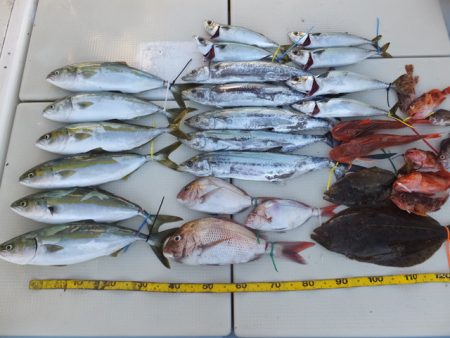 Hit Rush(ヒット ラッシュ） 釣果…