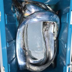 釣船 浦島太郎 釣果