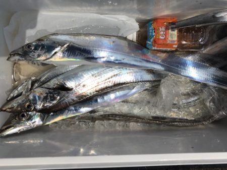 釣船 浦島太郎 釣果