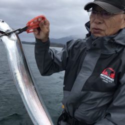 釣船 浦島太郎 釣果