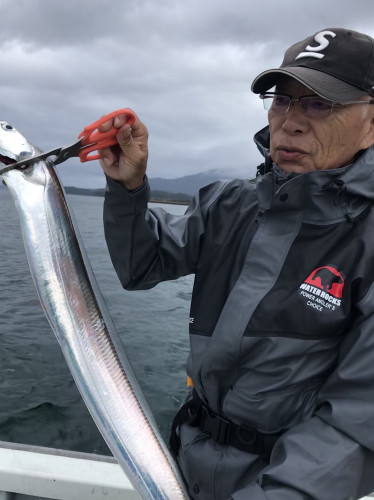 釣船 浦島太郎 釣果