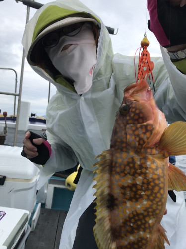 釣船 浦島太郎 釣果