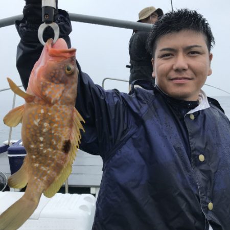 釣船 浦島太郎 釣果