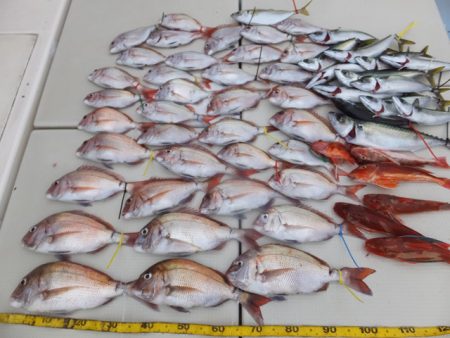 Hit Rush(ヒット ラッシュ） 釣果…