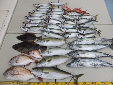 Hit Rush(ヒット ラッシュ） 釣果…