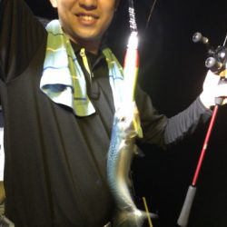 釣船 浦島太郎 釣果