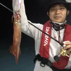 釣船 浦島太郎 釣果