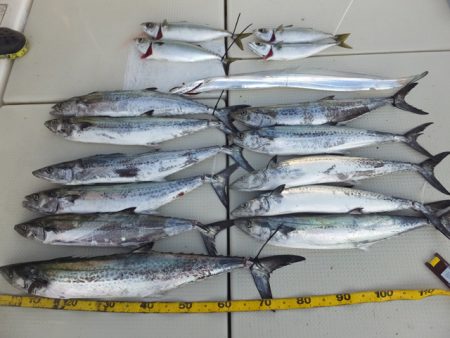 Hit Rush(ヒット ラッシュ） 釣果…