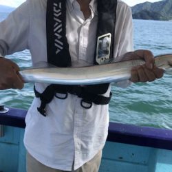 釣船 浦島太郎 釣果