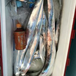 釣船 浦島太郎 釣果