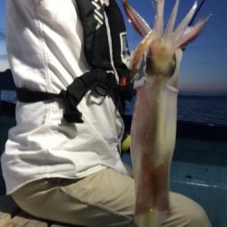 釣船 浦島太郎 釣果