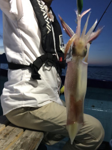 釣船 浦島太郎 釣果
