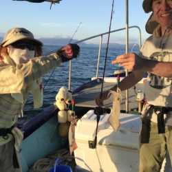 釣船 浦島太郎 釣果