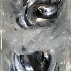 釣船 浦島太郎 釣果