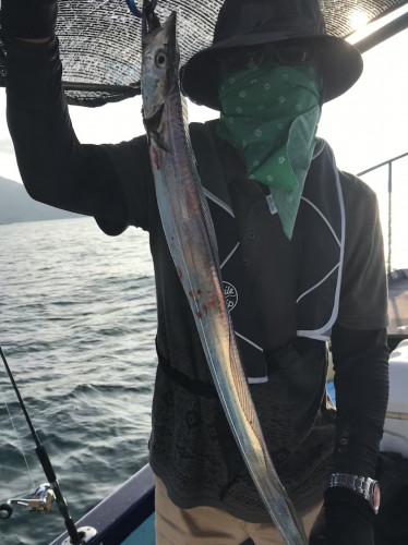 釣船 浦島太郎 釣果