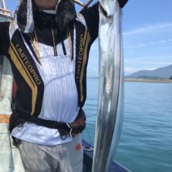 釣船 浦島太郎 釣果