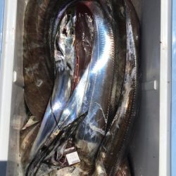 釣船 浦島太郎 釣果