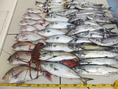 Hit Rush(ヒット ラッシュ） 釣果