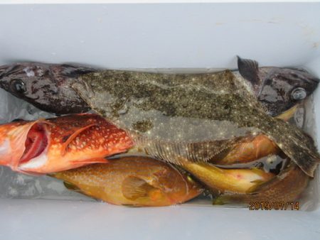 大進丸(新潟) 釣果