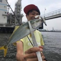 シーマジカル 釣果