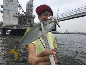 シーマジカル 釣果