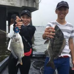 シーマジカル 釣果