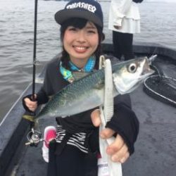 シーマジカル 釣果