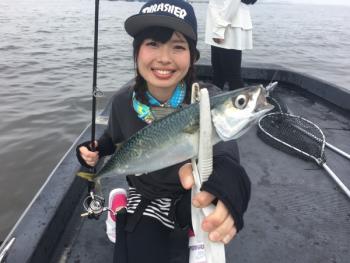 シーマジカル 釣果