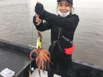 シーマジカル 釣果