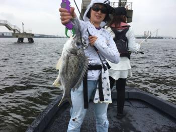 シーマジカル 釣果