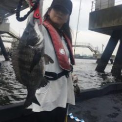 シーマジカル 釣果