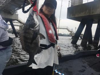 シーマジカル 釣果