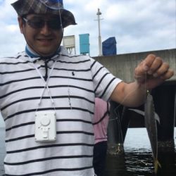 シーマジカル 釣果