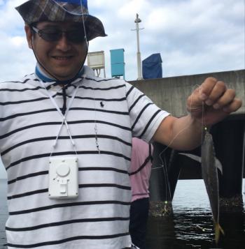 シーマジカル 釣果