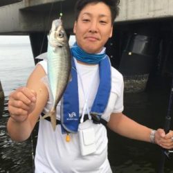 シーマジカル 釣果