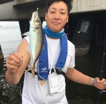 シーマジカル 釣果